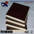 building materials cheap price film faced plywood  1