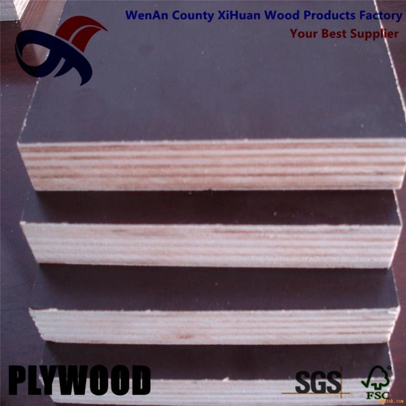 building materials cheap price film faced plywood  4
