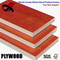 building materials cheap price film faced plywood  5