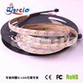 SK6812 5050WWA LED Strips 5V Smd 30LED/M IC Individual Addressable