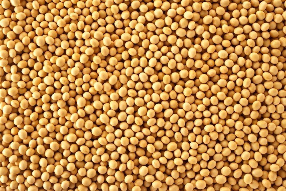 good quality grade yellow soybeans for animals feed soy2018 (Ukraine