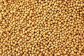 good  quality grade yellow soybeans for animals feed 2