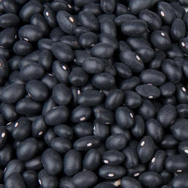 high quality grade black beans best price