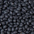 high quality grade black beans best