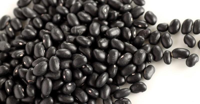 high quality grade black beans best price 2