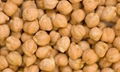 high quality grade chick peas good price