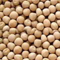 high quality grade chick peas good price 2