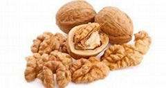 high quality grade walnuts whole sales price