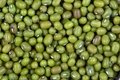 high quality grade mung  beans low price