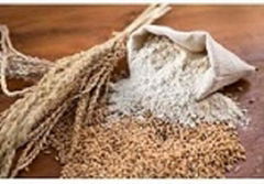 high quality grade wheat flour best