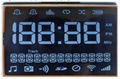 Segment LCD Display for FSTN Display Negative 1