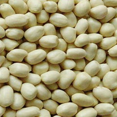 Blanched Peanut