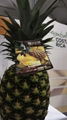 pineapple extra sweet (=MD2) 3