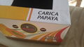 PAPAYA POCOCÍ 3