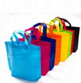 Promotional Non Woven Bag 2