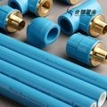 Factory Outlet S2.5 Colored PPR Pipe Fitting  for Water Supply 2