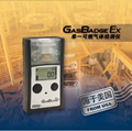 进口GB90（EX） 单一可燃气体检测仪