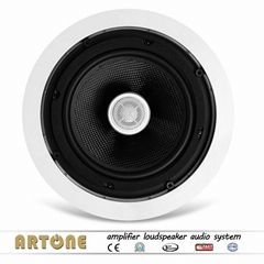 Hifi Ceiling Speaker 8 inch Manufacturer CS-484