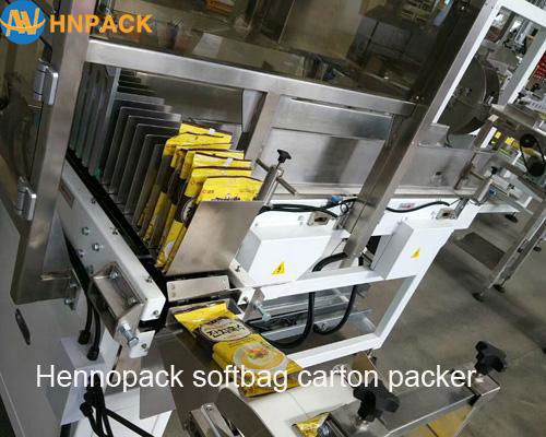 hennopack carton box Pick & place type case packer 2