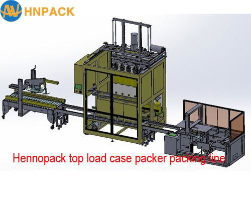 hennopack carton box Pick & place type case packer 4