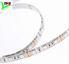 SMD5050 LED Strip