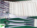 SMD5050 LED Strip 3