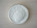 CHITOSAN POWDER WITH HIGH QUALITY 1