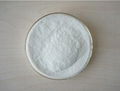 CHITOSAN POWDER WITH HIGH QUALITY