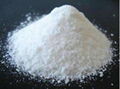 CHITOSAN POWDER WITH HIGH QUALITY 3