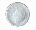 CHITOSAN POWDER WITH HIGH QUALITY 4