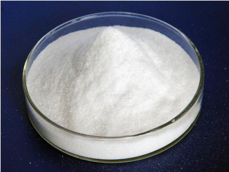 CHITOSAN POWDER WITH HIGH QUALITY 5
