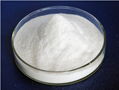 CHITOSAN POWDER WITH HIGH QUALITY 5