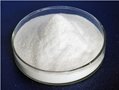 CHITOSAN POWDER WITH HIGH QUALITY