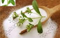 Stevia Powder