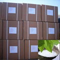 Stevia Powder 4