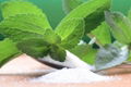 Stevia Powder 3