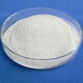 Calcium Propionate 1