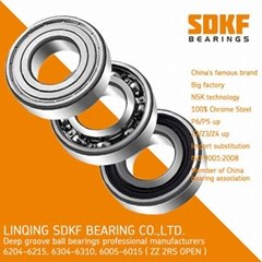 SDKF 6204 high speed motor bearings deep groove ball bearing