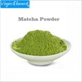 Bulk supply Organic Matcha Powder Green Tea extract Tea polyphenols 98%  3
