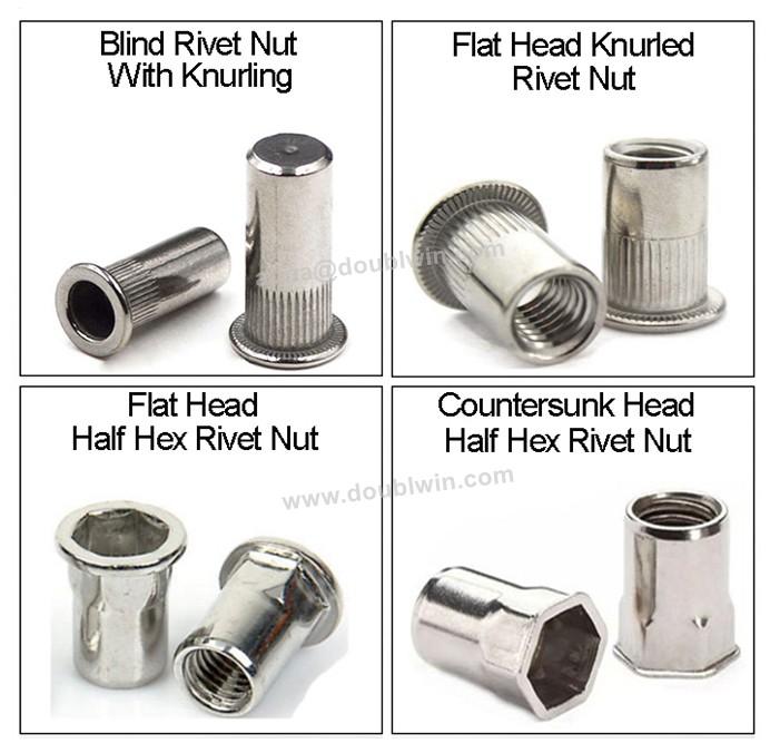 Knurled surface Stainless steel rivet nut DW004 Doublwin (China