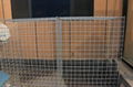 Anping Xinboyuan welded wire mesh gabion fence 1