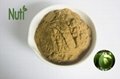 olive leaf extract Oleuropein  1