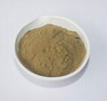 olive leaf extract Oleuropein  2
