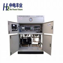 HPE series Hydrogen Purification Device