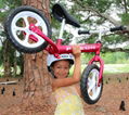 Top quality best sale made in China manufacturer balance bike cheap price 5