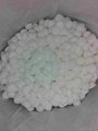 陝西顆粒軟水鹽西安工業鹽融雪劑 2