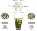 Organic Green Tea—— Jade Snail 1st Grade 2