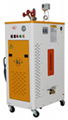 3 kw automatic heating steam generator 1