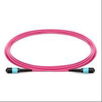 1m (3ft) MPO Female to MPO Female 12 Fibers OM4 50/125 Multimode Trunk Cable