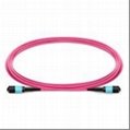 1m (3ft) MPO Female to MPO Female 12 Fibers OM4 50/125 Multimode Trunk Cable 1
